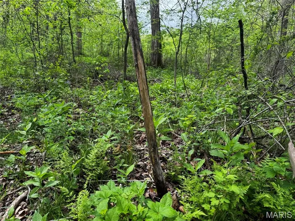 $400,000 | 0 County Road 120, Philadelphia, MO 63463