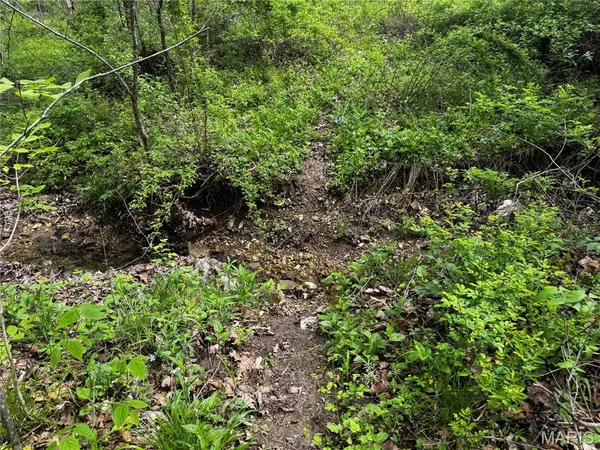 $400,000 | 0 County Road 120, Philadelphia, MO 63463