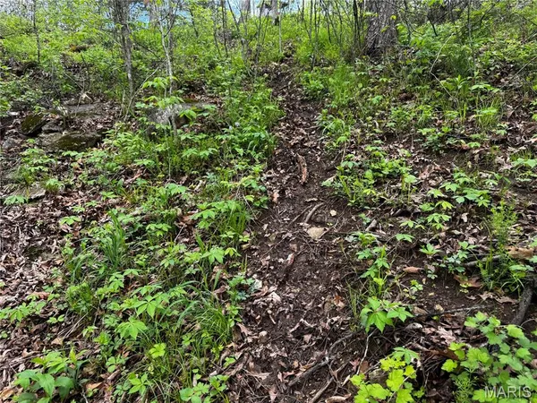 $400,000 | 0 County Road 120, Philadelphia, MO 63463
