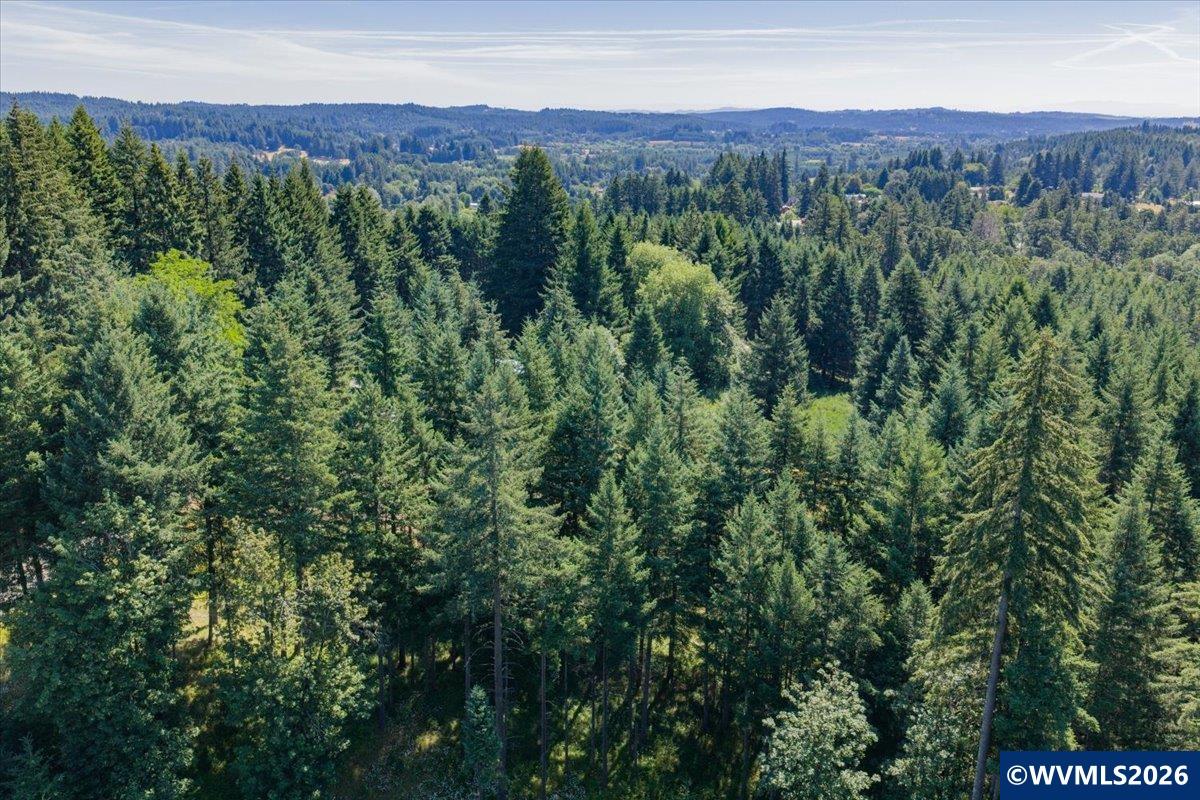 432 Chamberlain Road Falls City, OR 97344 - Photo 21 of 26