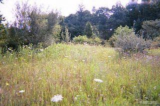 Par A North Par A N Latson Road Howell, MI 48855 - Photo 1 of 1 BUILDSITE