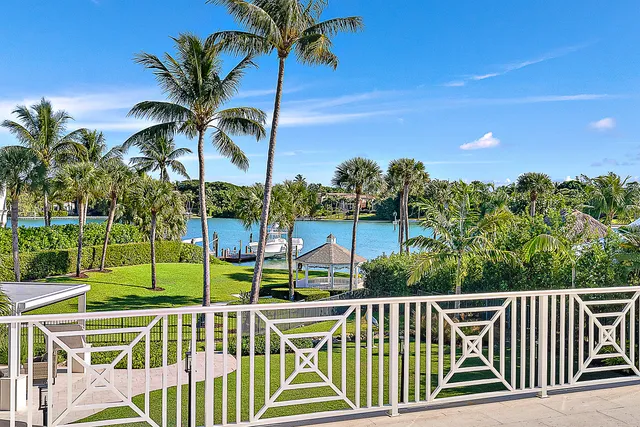 a view of a swimming pool with a garden and plants