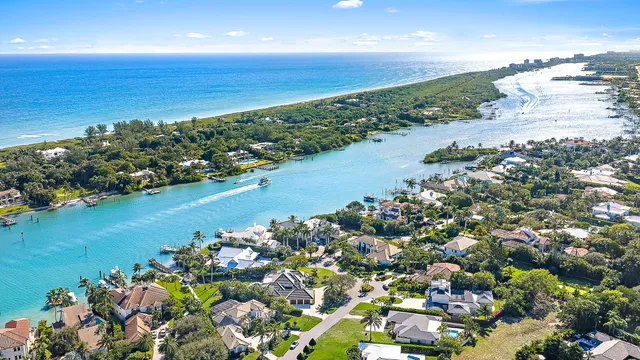 a view of a park with palm trees