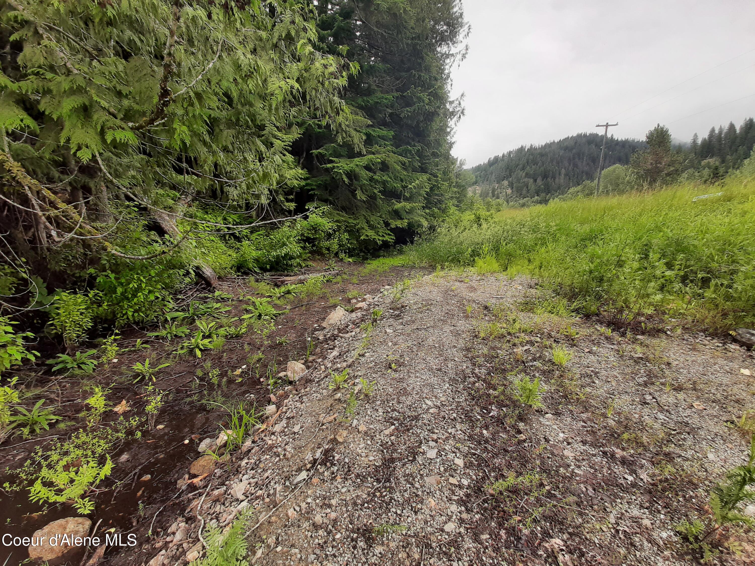 11328 Coeur D'Alene River Road Kingston, ID 83839 - Photo 6 of 16 20260630_152308