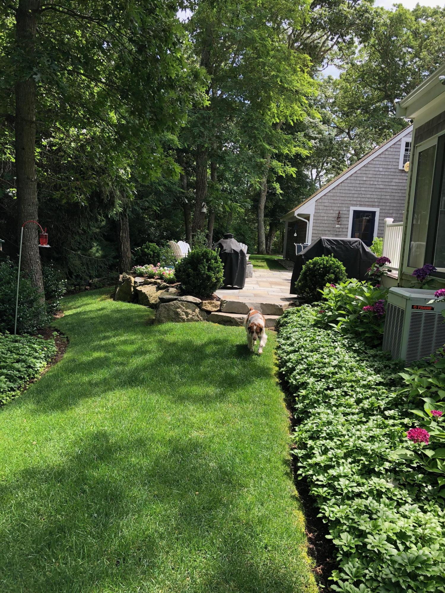 3 Riverview Drive Orleans, MA 02653 - Photo 15 of 63 a view of a house with backyard sitting area and garden