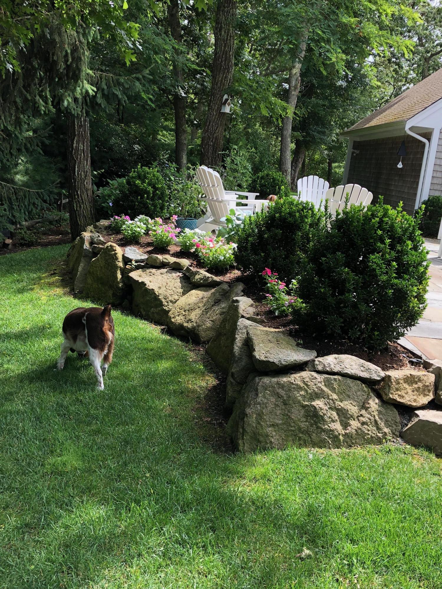 3 Riverview Drive Orleans, MA 02653 - Photo 16 of 63 a view of backyard with outdoor seating and green space