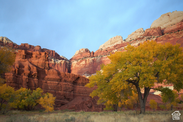 213 South 975 West, Unit 4 Torrey, UT 84775 - Photo 27 of 34 Fall colors in Capitol Reef National Park
