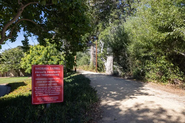 a view of a yard with plants