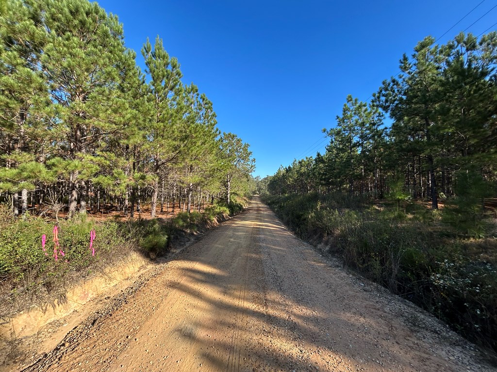140/ Cty Road Headland, AL 36345 - Photo 22 of 33