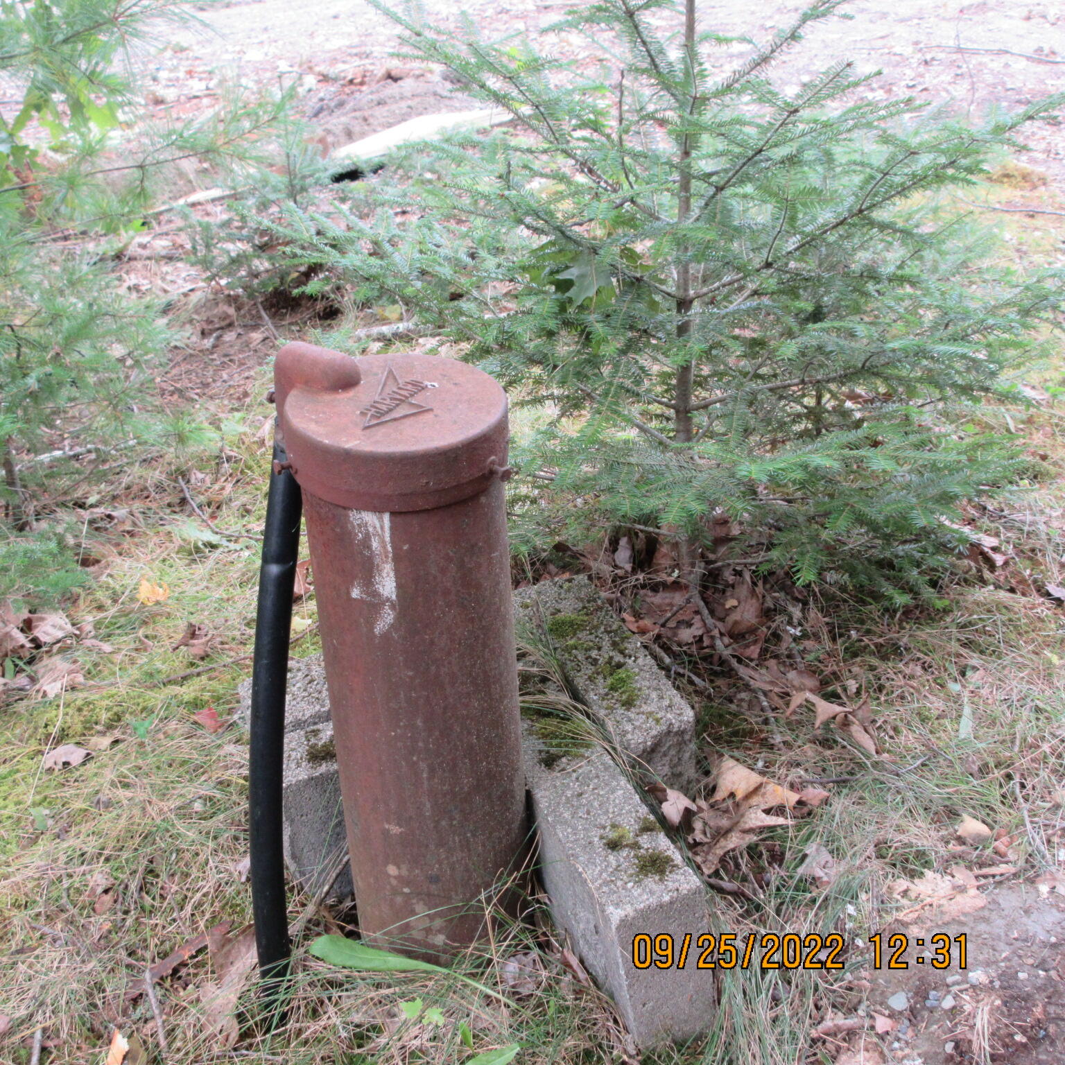 582 Bucksmills Road Bucksport, ME 04416 - Photo 12 of 13 IMG_1777