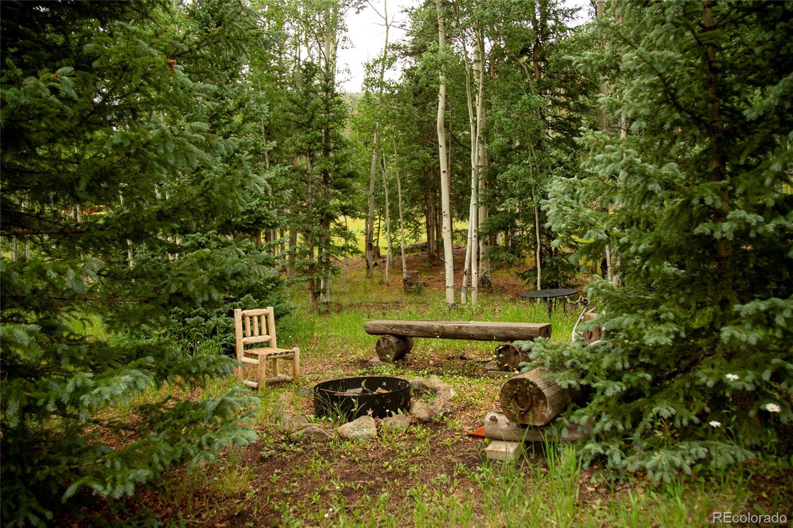 2150 Usfs Road, Unit 18A Creede, CO 81130 - Photo 15 of 25 a backyard of a house with table and chairs