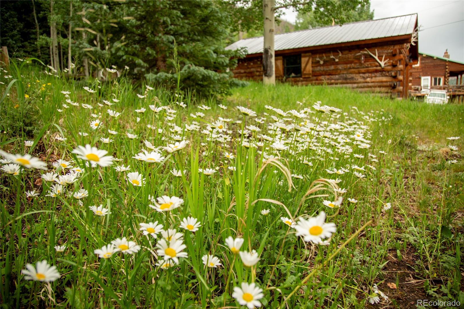 2150 Usfs Road, Unit 18A Creede, CO 81130 - Photo 20 of 25 a view of a backyard