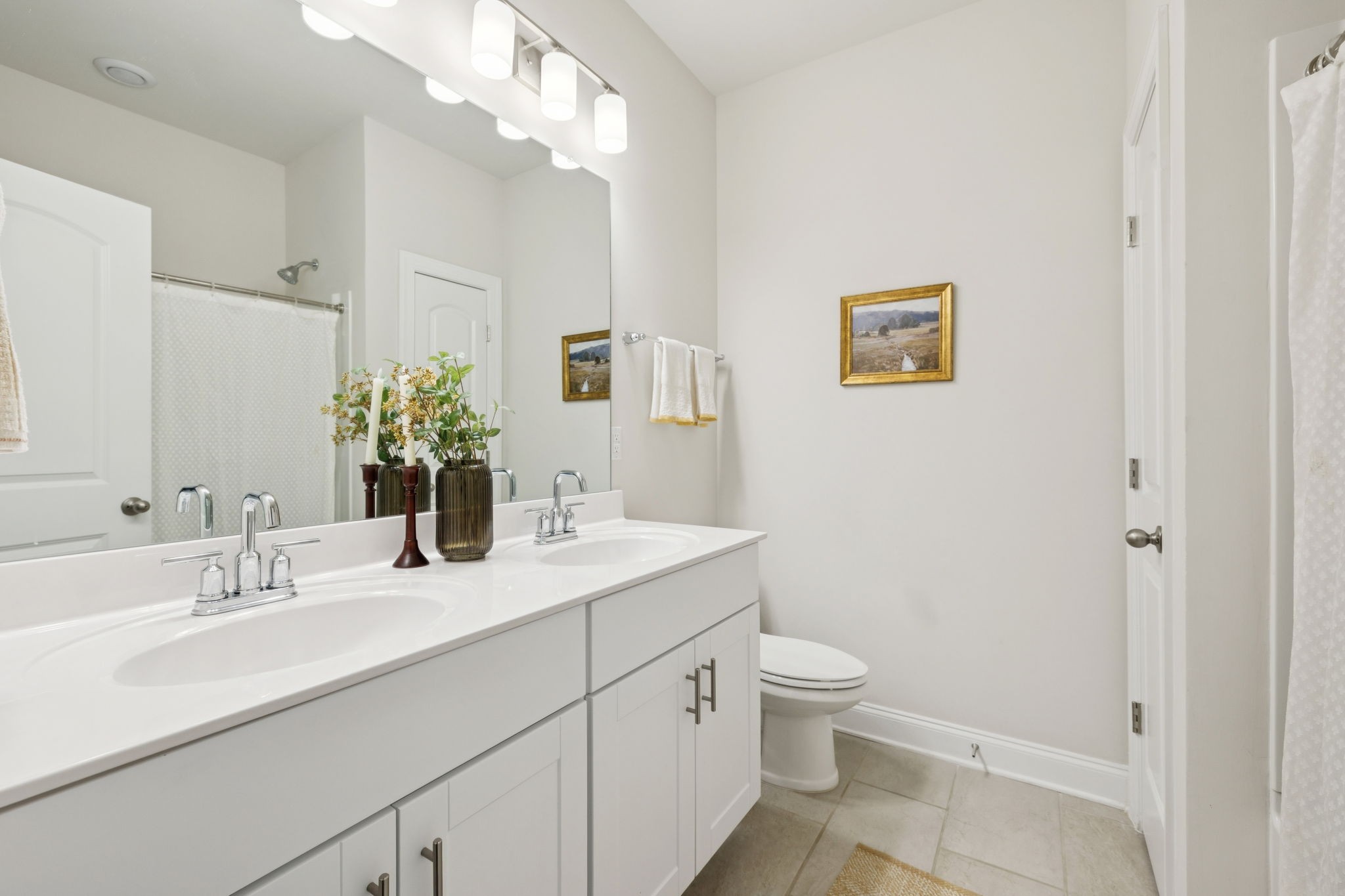 3316 Longstalk Road Antioch, TN 37013 - Photo 8 of 40 a bathroom with a sink a toilet and a large mirror