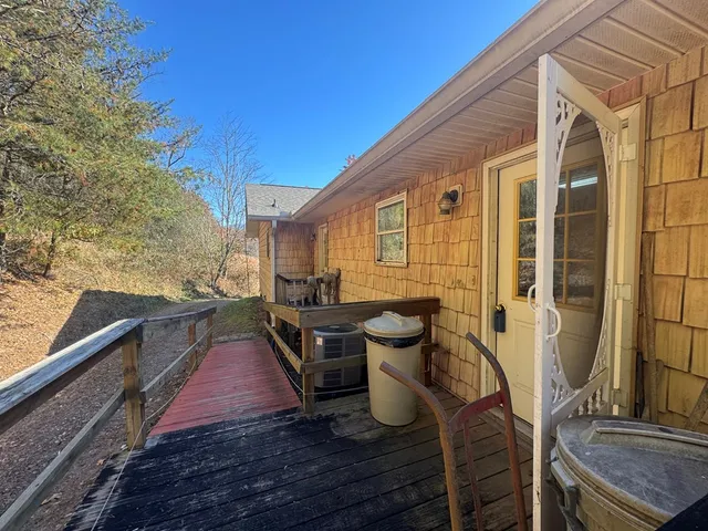 a view of a tree in a field