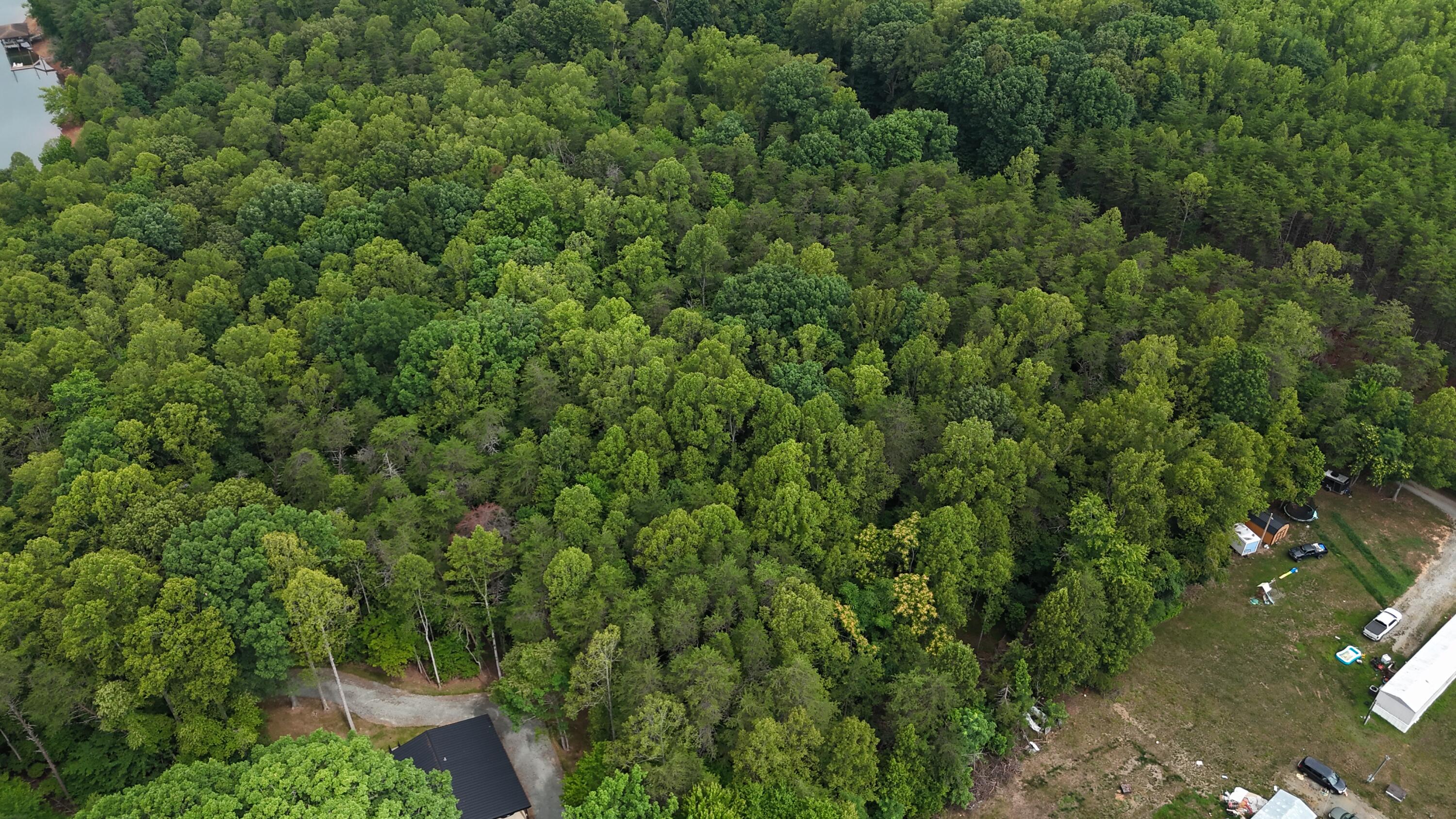 2715-2697 Kemp Ford Road Union Hall, VA 24176 - Photo 11 of 14 DJI_20260708105906_0014_D