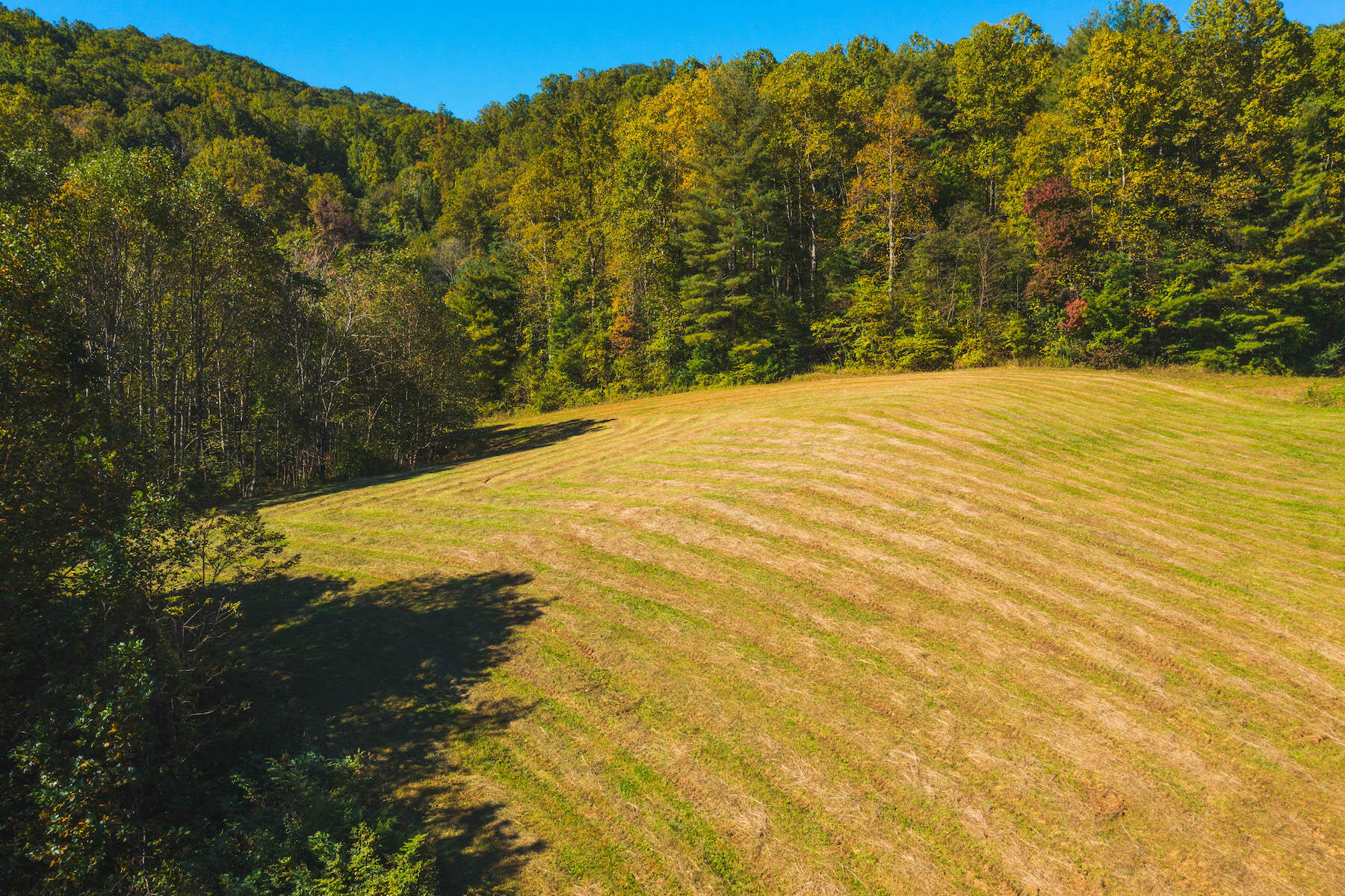 13945 Callaway Road Callaway, VA 24067 - Photo 21 of 32 a view of ocean