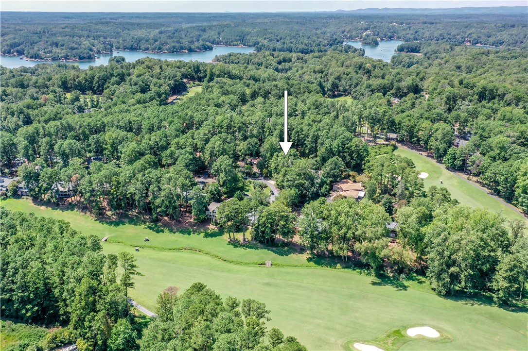 49 Par Harbor Way Salem, SC 29676 - Photo 3 of 49