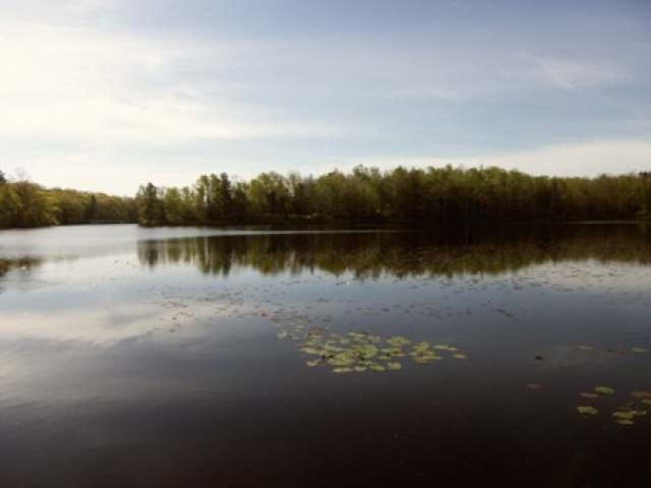 N9339 Mill Road Summit Lake, WI 54485 - Photo 11 of 12 Gallery Image 11
