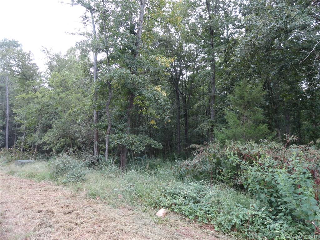 13 Hannon Farm Road, Unit 13 Fort Mill, SC 29715 - Photo 1 of 1 Gallery Image 1