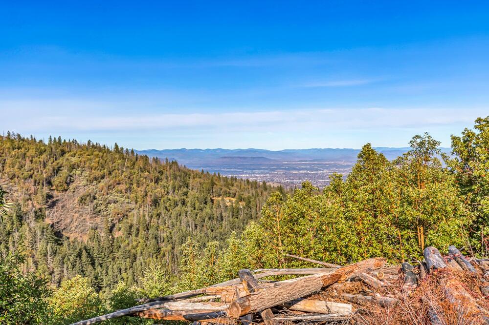 Griffin Creek Road Medford, OR 97501 - Photo 3 of 18 9R9A4131
