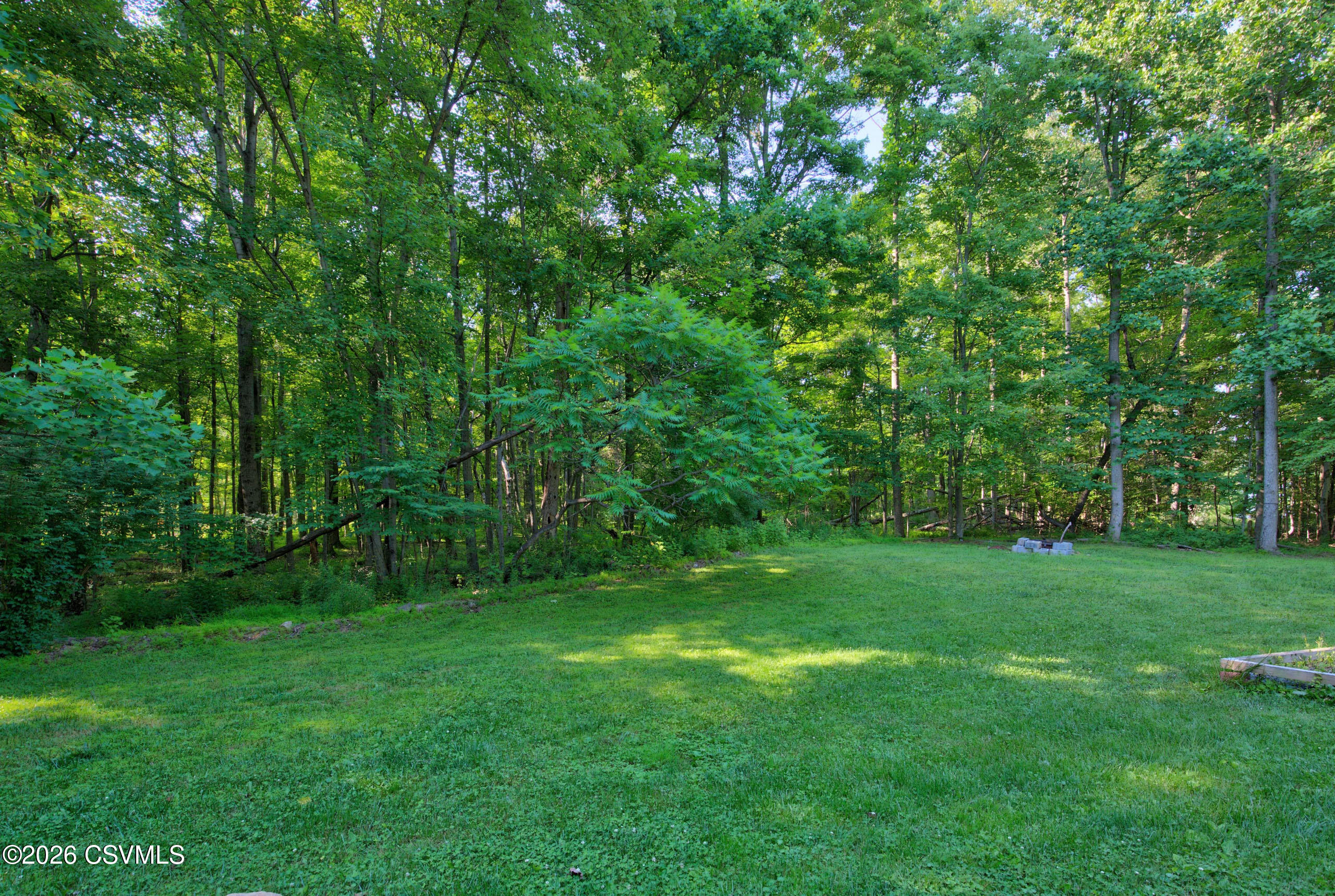 405 Dornsife Road Northumberland, PA 17857 - Photo 49 of 55