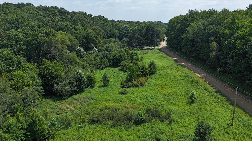 29558 Drake Hill Road Cochranton, PA 16314 - Photo 6 of 18 a view of a lush green forest