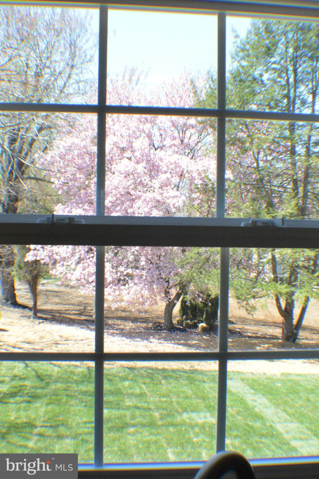 18914 Chandlee Mill Road Sandy Spring, MD 20860 - Photo 5 of 30 View