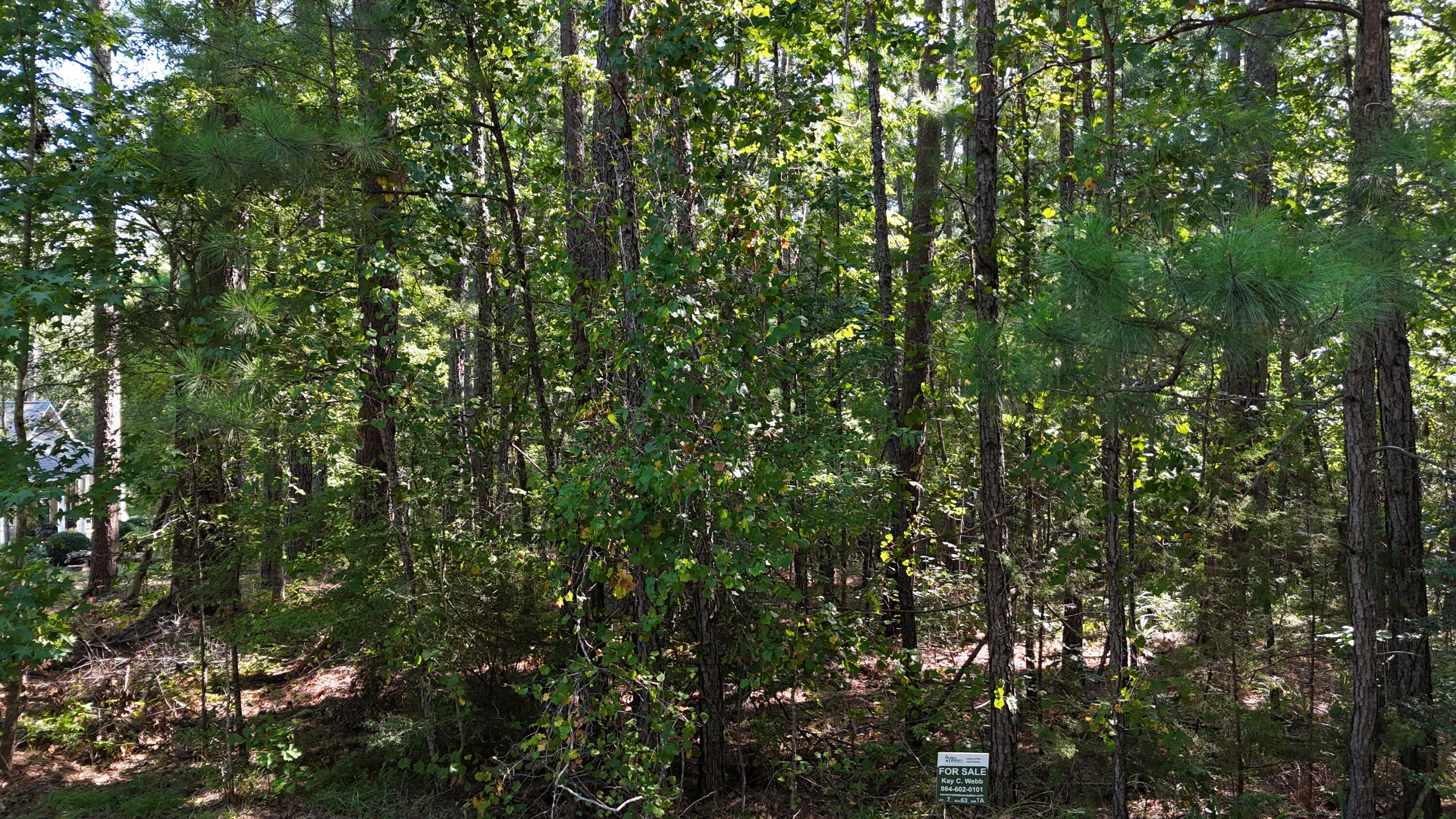 Front of Homesite