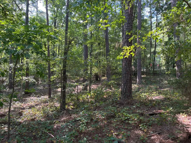 $18,000 | Lot 7 Hummingbird Lane, McCormick, SC 29835