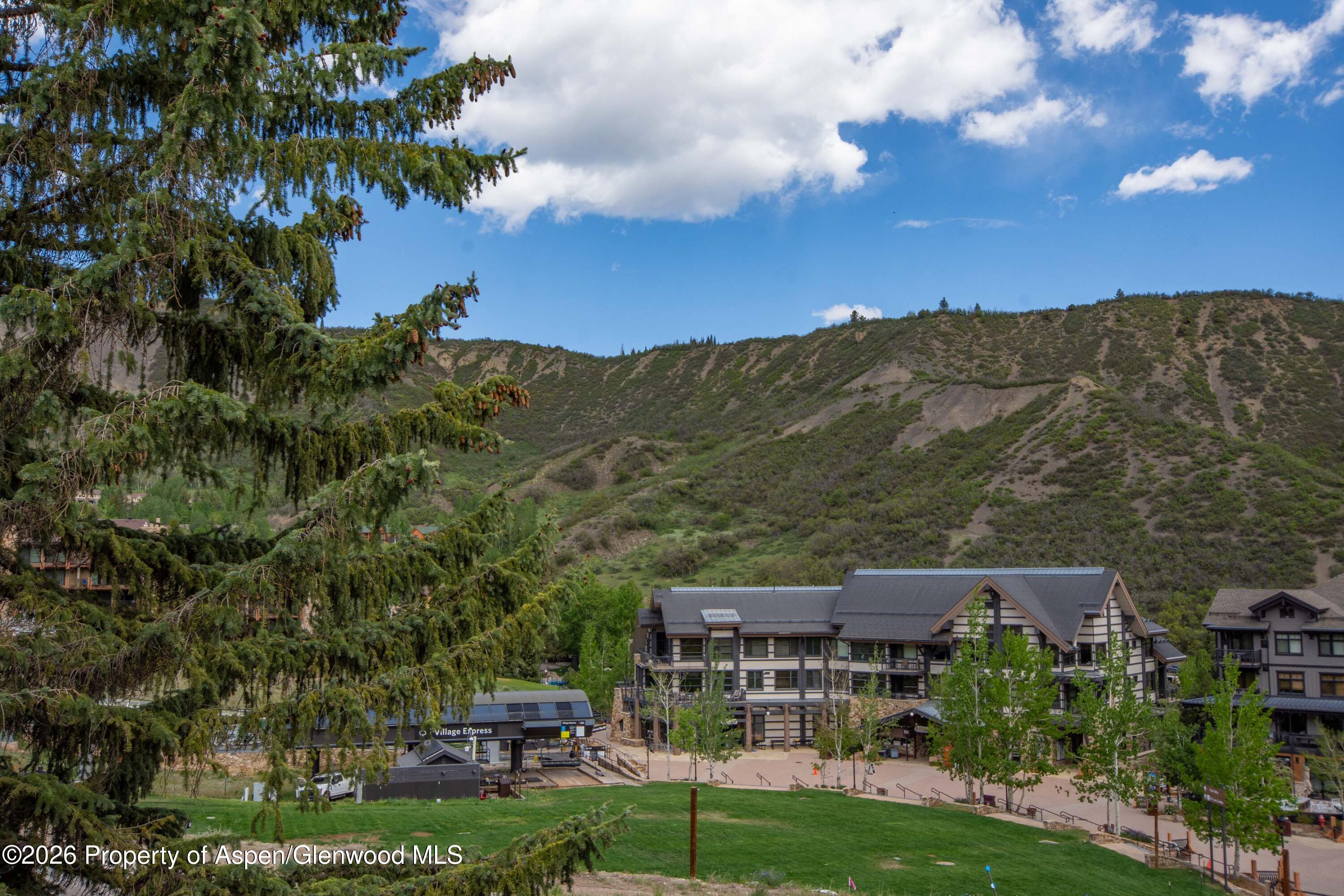 400 Wood Road, Unit 1204 Snowmass Village, CO 81615 - Photo 10 of 28 DSC_6096