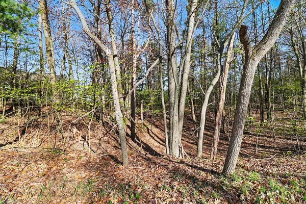 $199,900 | Lot 11 North Silver Ridge Road, Mears, MI 49436