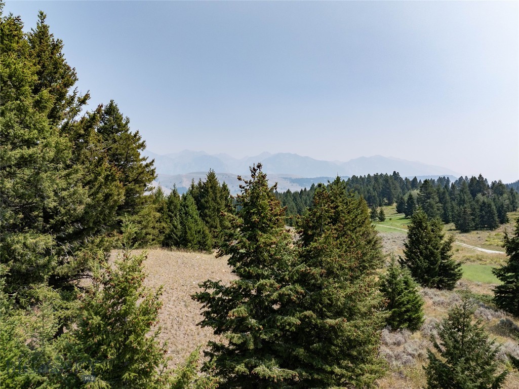 116 Elk Rdg Road Cameron, MT 59720 - Photo 60 of 79 Gallery Image 60