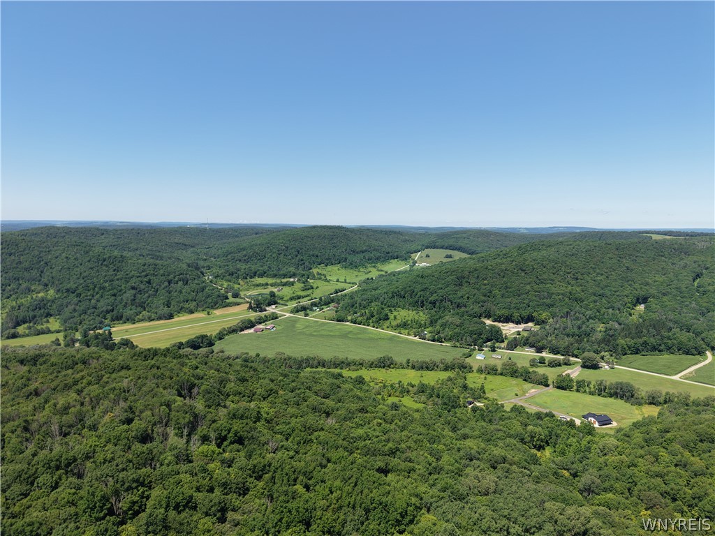 Dublin Hills Rd Road Salamanca, NY 14779 - Photo 14 of 24 Gallery Image 14
