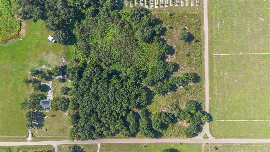 Yale Hammock Road Umatilla, FL 32784 - Photo 16 of 20