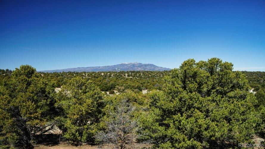 127 Navajo Ranch Walsenburg, CO 81089 - Photo 12 of 18 a view of a large tree with a yard