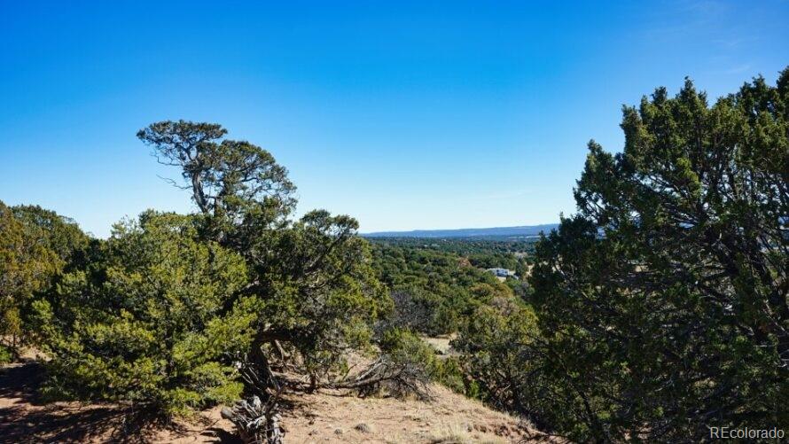 127 Navajo Ranch Walsenburg, CO 81089 - Photo 13 of 18 a view of a tree in a yard