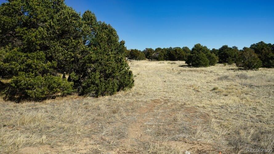 127 Navajo Ranch Walsenburg, CO 81089 - Photo 14 of 18 a view of a yard covered in snow
