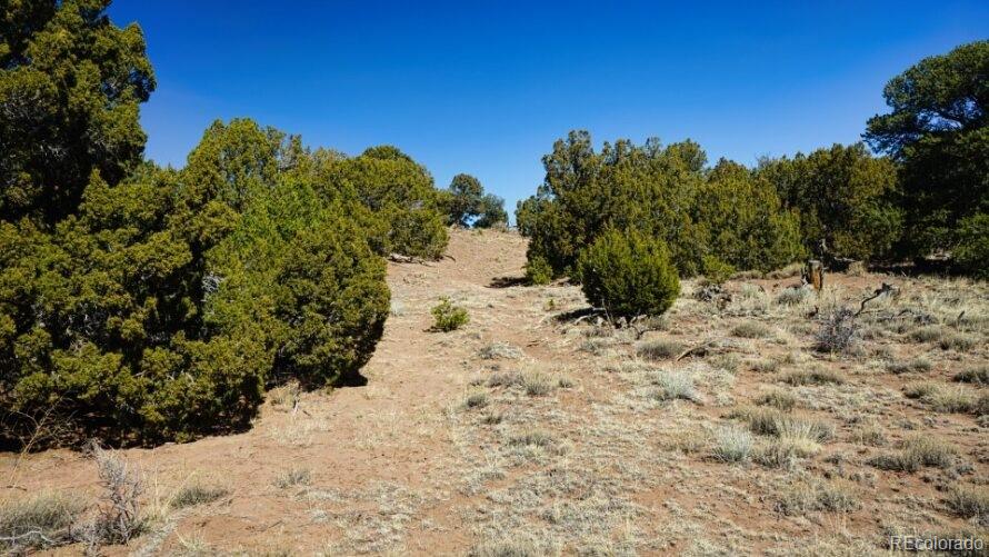 127 Navajo Ranch Walsenburg, CO 81089 - Photo 15 of 18 a view of a yard with trees