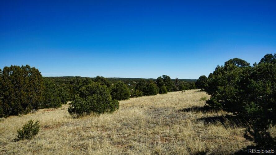 127 Navajo Ranch Walsenburg, CO 81089 - Photo 16 of 18 a view of mountains and river