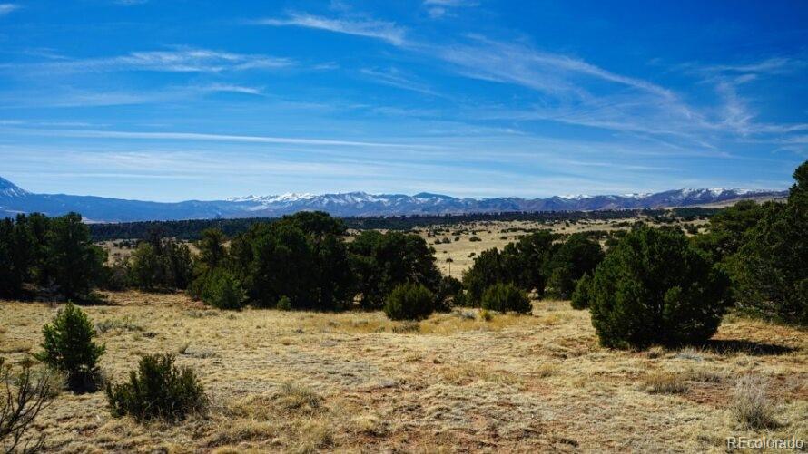 127 Navajo Ranch Walsenburg, CO 81089 - Photo 17 of 18 a view of a yard