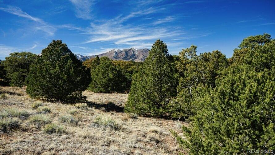 127 Navajo Ranch Walsenburg, CO 81089 - Photo 2 of 18 a view of a yard with a tree