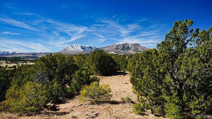 127 Navajo Ranch Walsenburg, CO 81089 - Photo 10 of 18 a view of a houses with a yard