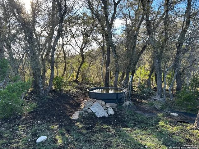 a view of a backyard with large trees