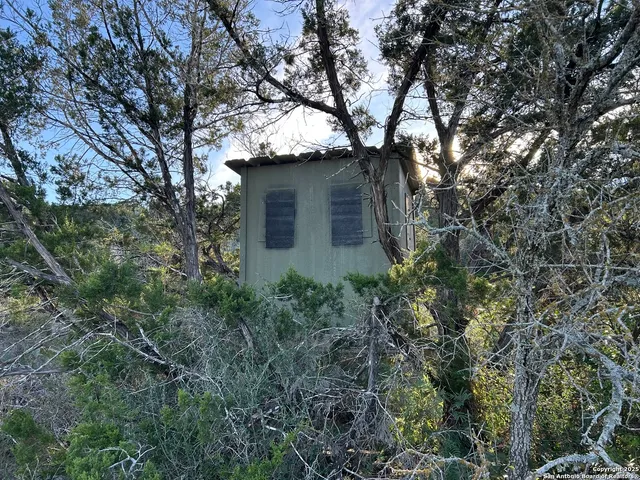 a view of a house with a tree