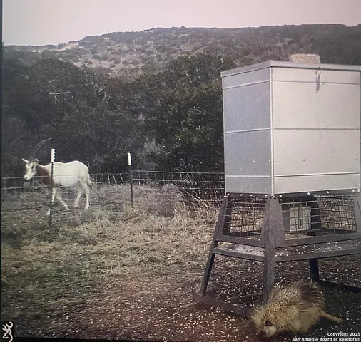 a view of a mountain in the distance in a field