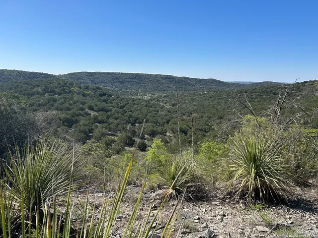 a view of a city with lush green forest