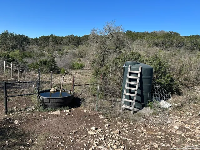 a view of a backyard with plants and a grill
