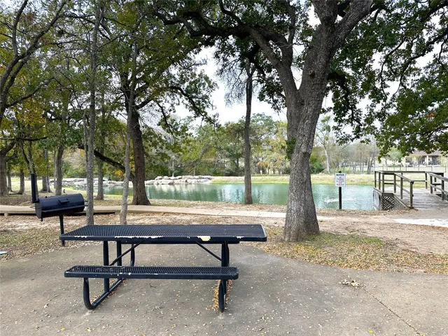 a view of a park with a tree