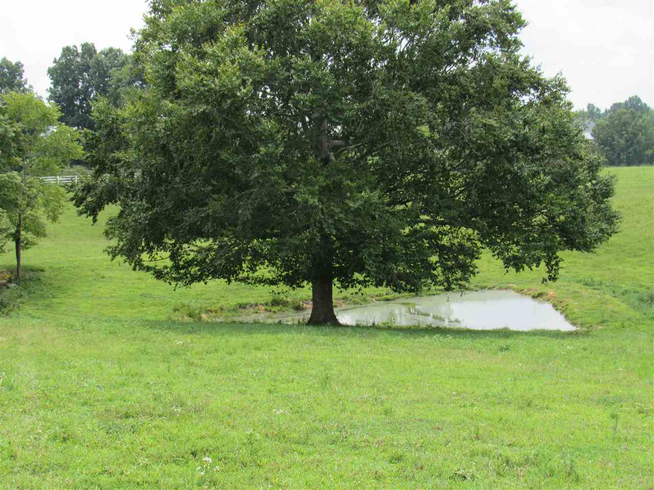 0 Williams Road Scottsville, KY 42164 - Photo 7 of 9 Gallery Image 7