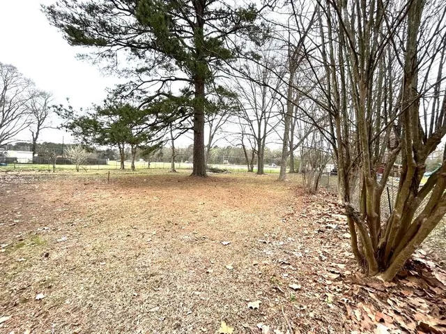 a view of yard with trees
